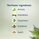 Ingredients of Rhumanosa Tablet