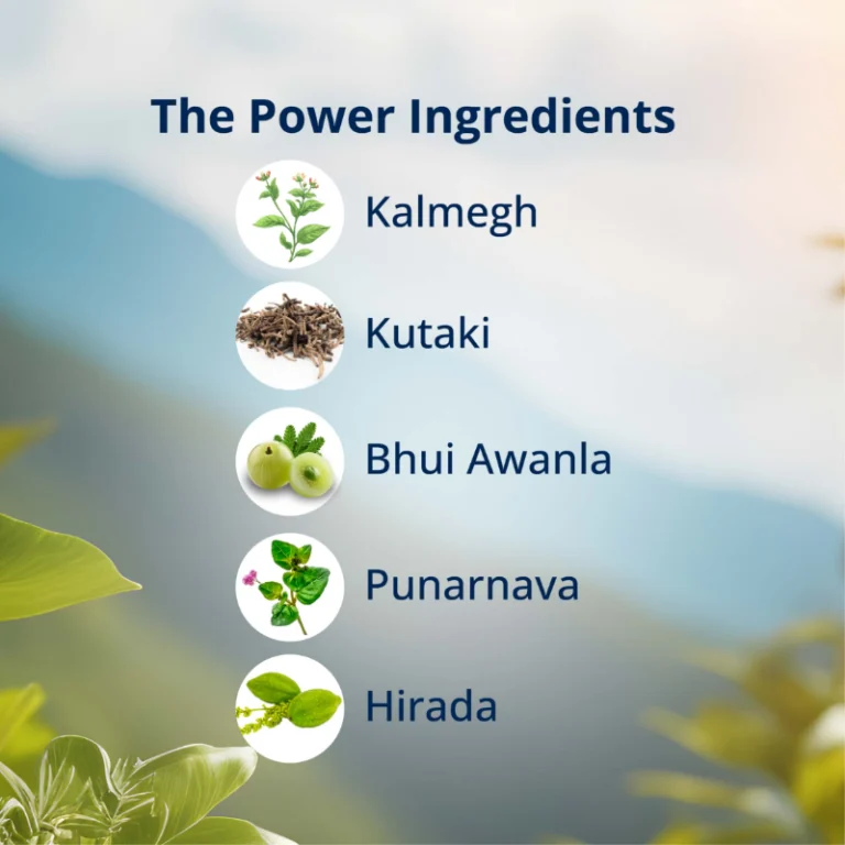 Ingredients of LVR-24 Capsules