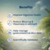 Benefits of Digistrength Tablet