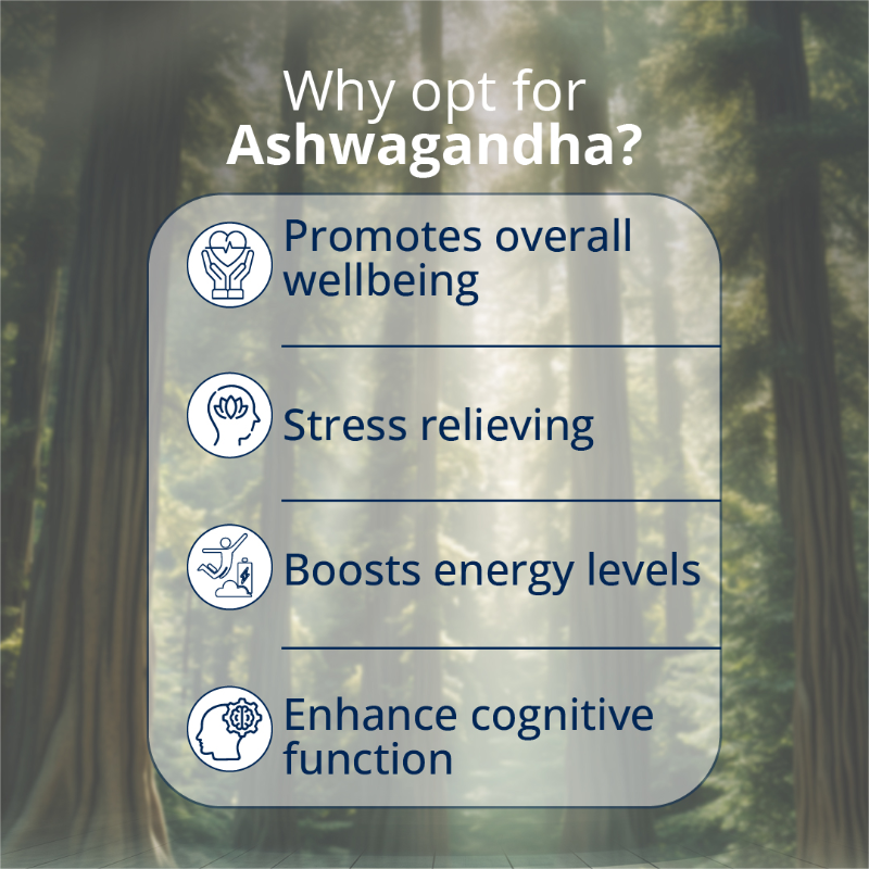 BVG-PDP-Posts-Revised-1-18-1.webp Reasons to opt for Ashwagandha