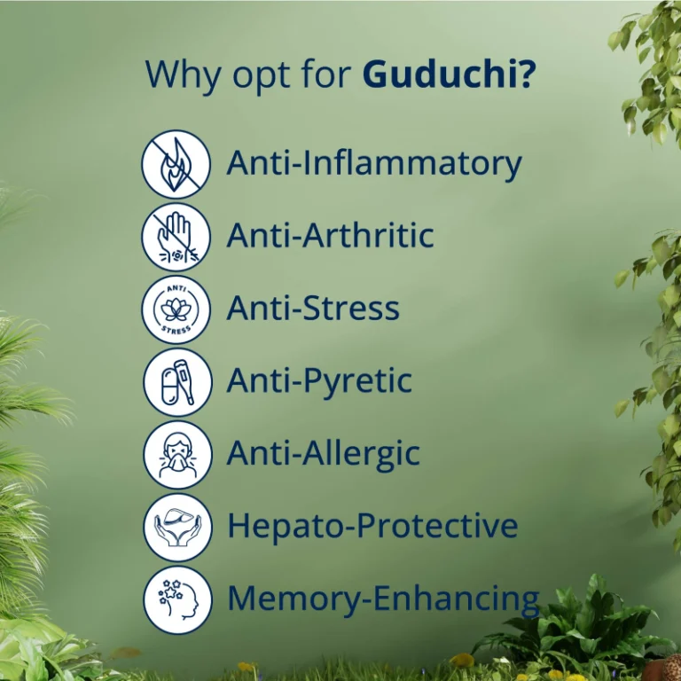 Guduchi benefits