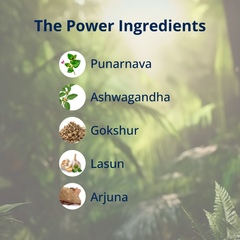 PDP-Set-3-Post-12.webp Ingredients of RelaxTris Capsule