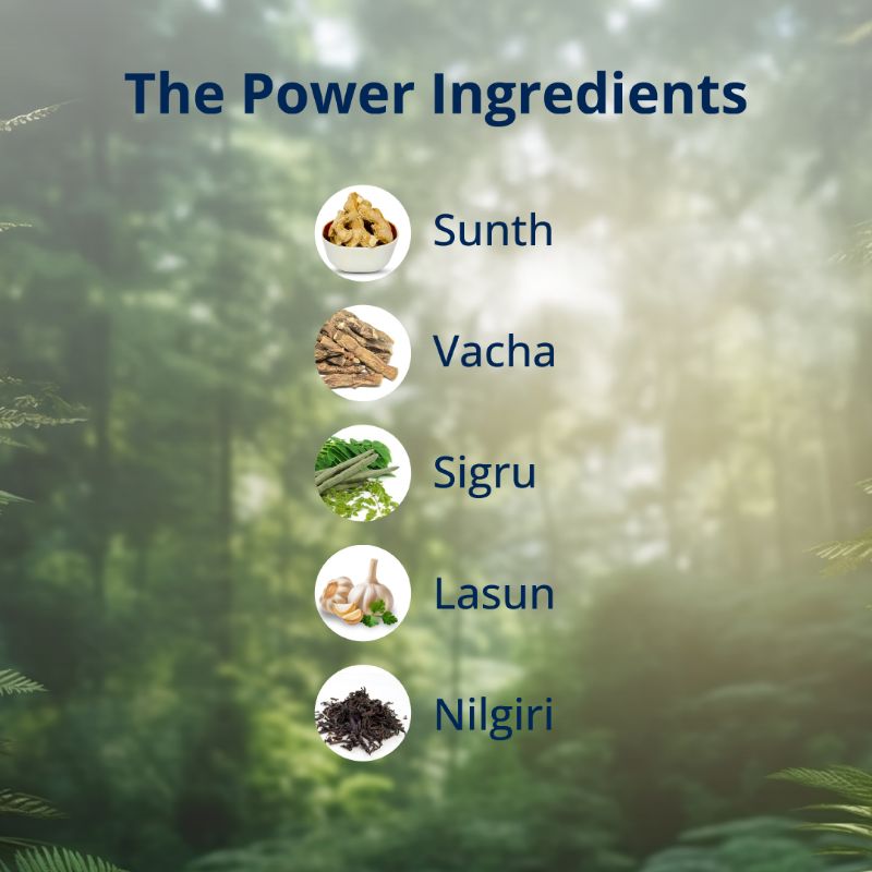 PDP-Set-3-Post-15.webp Ingredients of Penament oil