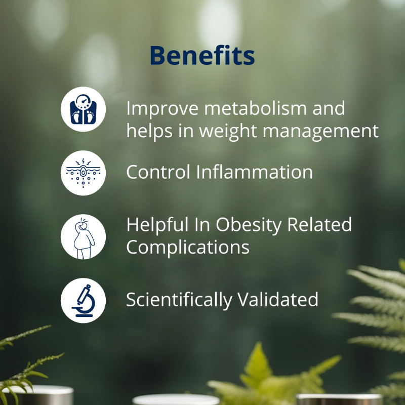 Benefits of Gargym Plus Capsule